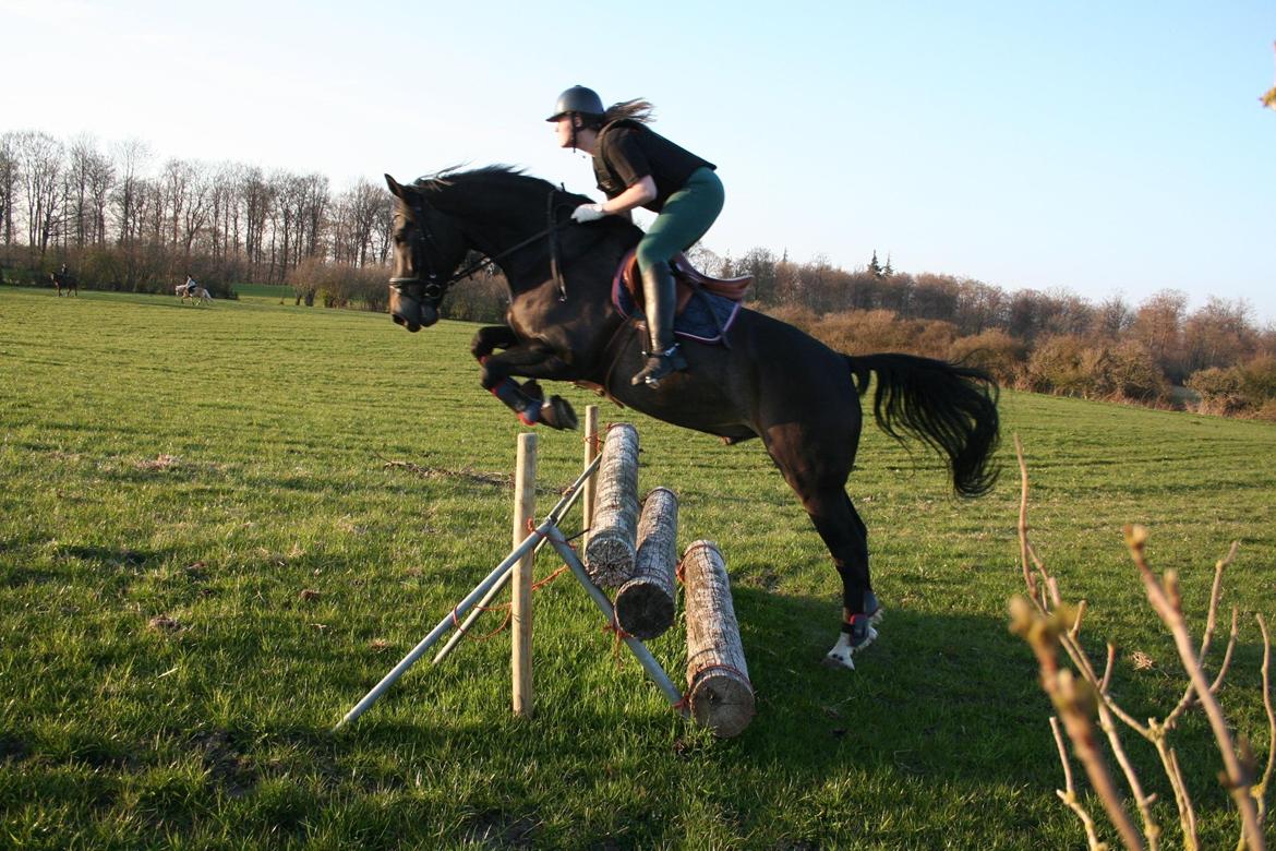 Oldenborg Siegård's flexness - Årets første terræn træning i Åbenrå 03/05-2013 billede 5