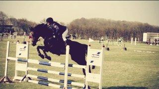 Dansk Varmblod Rødhøjs Felicia - maj 2013 billede 11