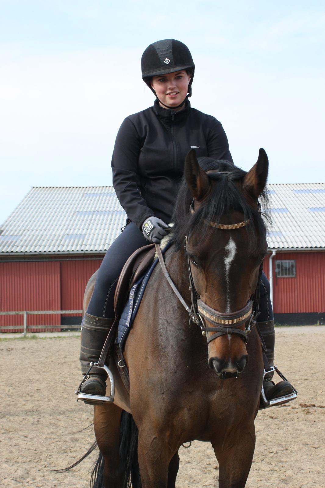 Dansk Varmblod Rødhøjs Felicia - prinsesse. <3 billede 12