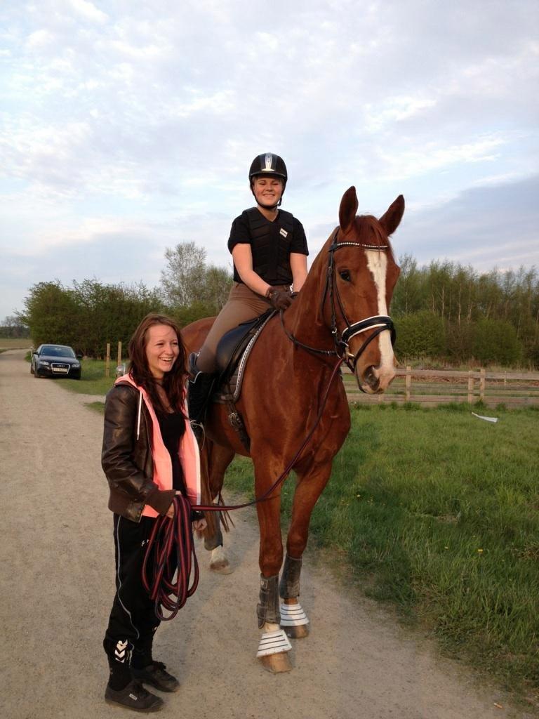 Hannoveraner William - På vores første skridttur. Han var så dygtig <3 billede 14