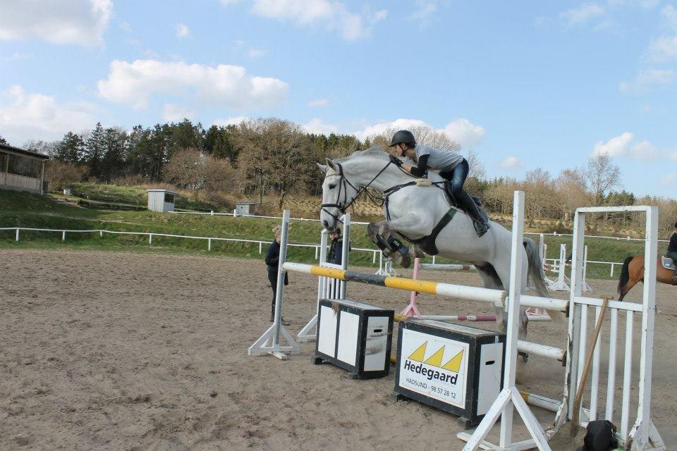 Holstener Capacity Cashmore - Foto taget af Camilla Ramsing Bøhne billede 16