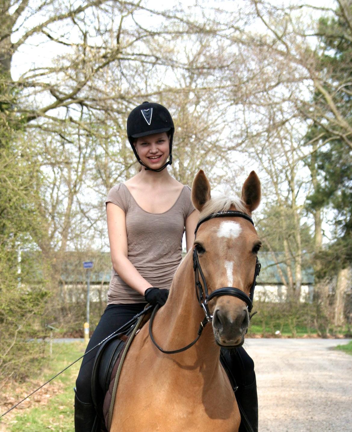 Palomino Chess Stauslykke - Velkommen til Chess' profil! 
Foto: Siw billede 1
