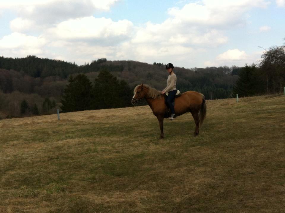 Anden særlig race Attila billede 6