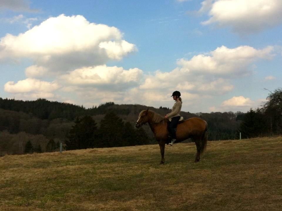 Anden særlig race Attila billede 7