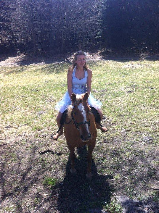 Anden særlig race Attila billede 10