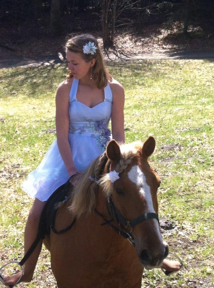 Anden særlig race Attila billede 2