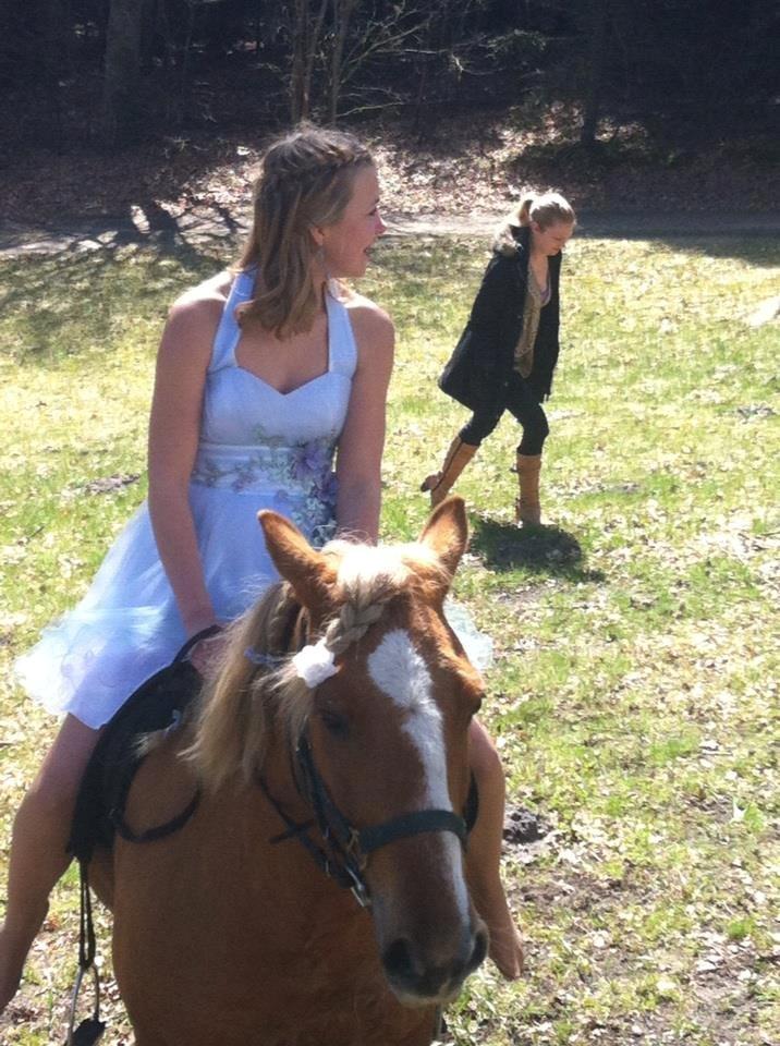 Anden særlig race Attila billede 11