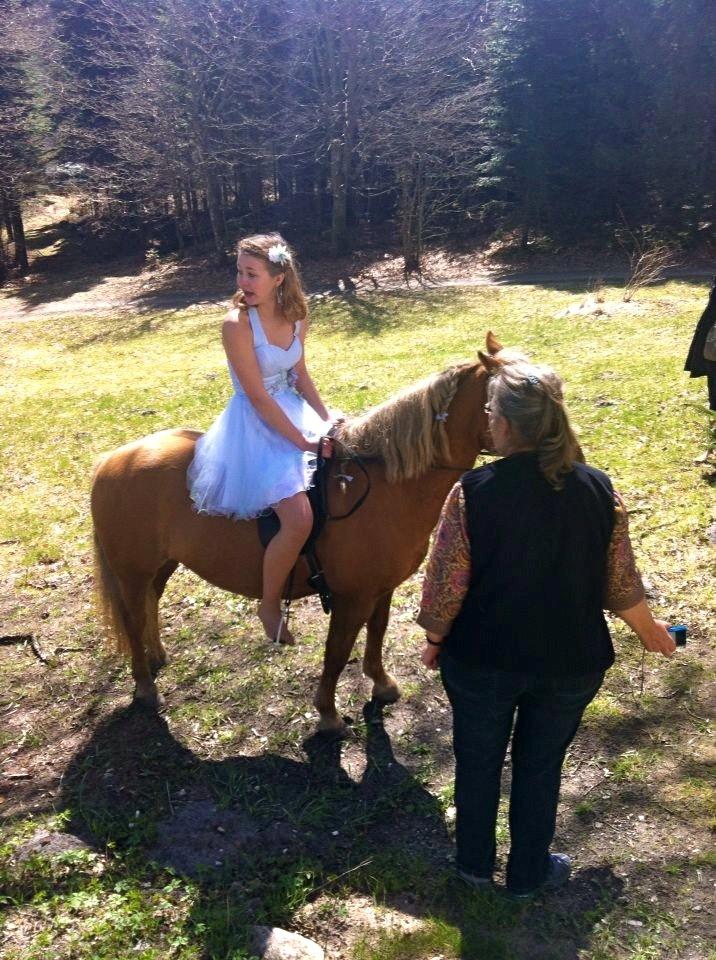 Anden særlig race Attila billede 12