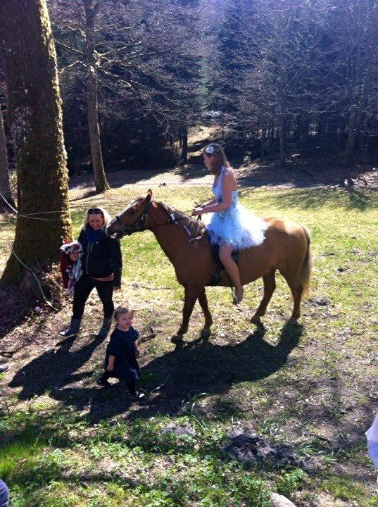 Anden særlig race Attila billede 13