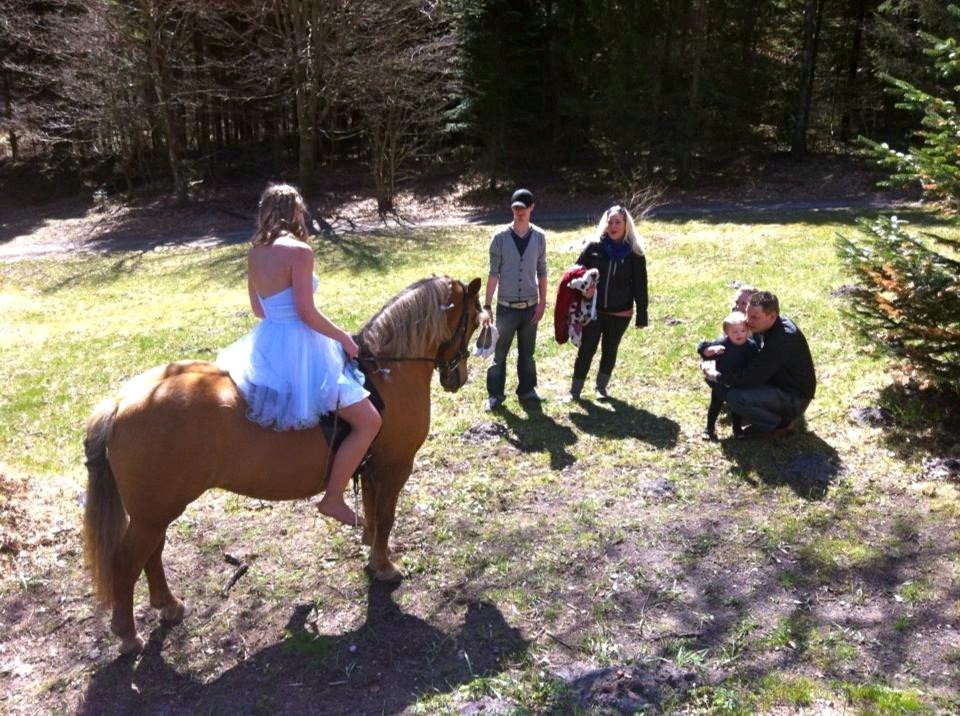 Anden særlig race Attila billede 14