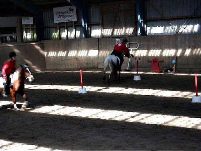 Pinto Sunshine - Pia og Sunshine d. 20/4-2013 billede 6