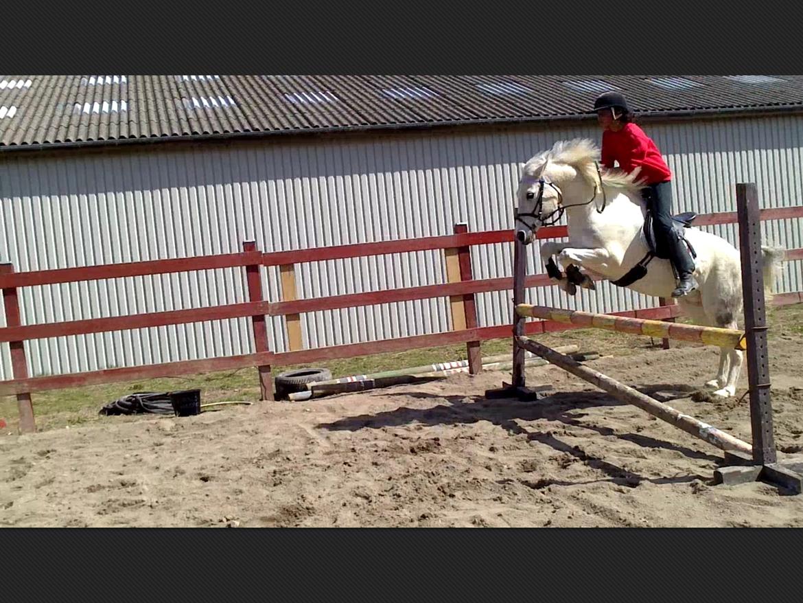 Anden særlig race Pepito my only one! <3 billede 10