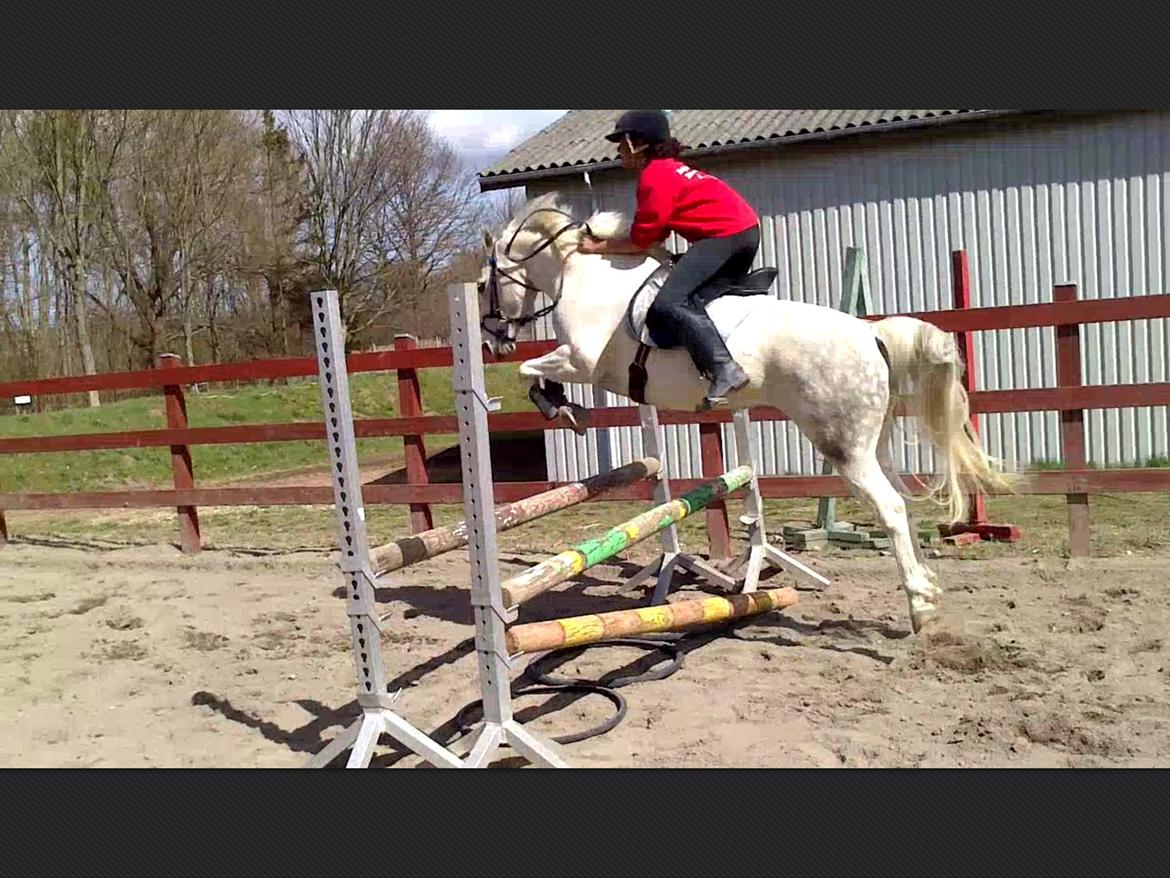 Anden særlig race Pepito my only one! <3 billede 2