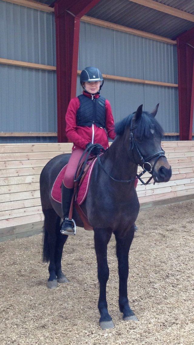 New Forest Løgtholt´s Bastian <3  - livet handler ikke om at finde en man kan leve med, men at finde en man ikke kan leve uden !!!<3<3 billede 8