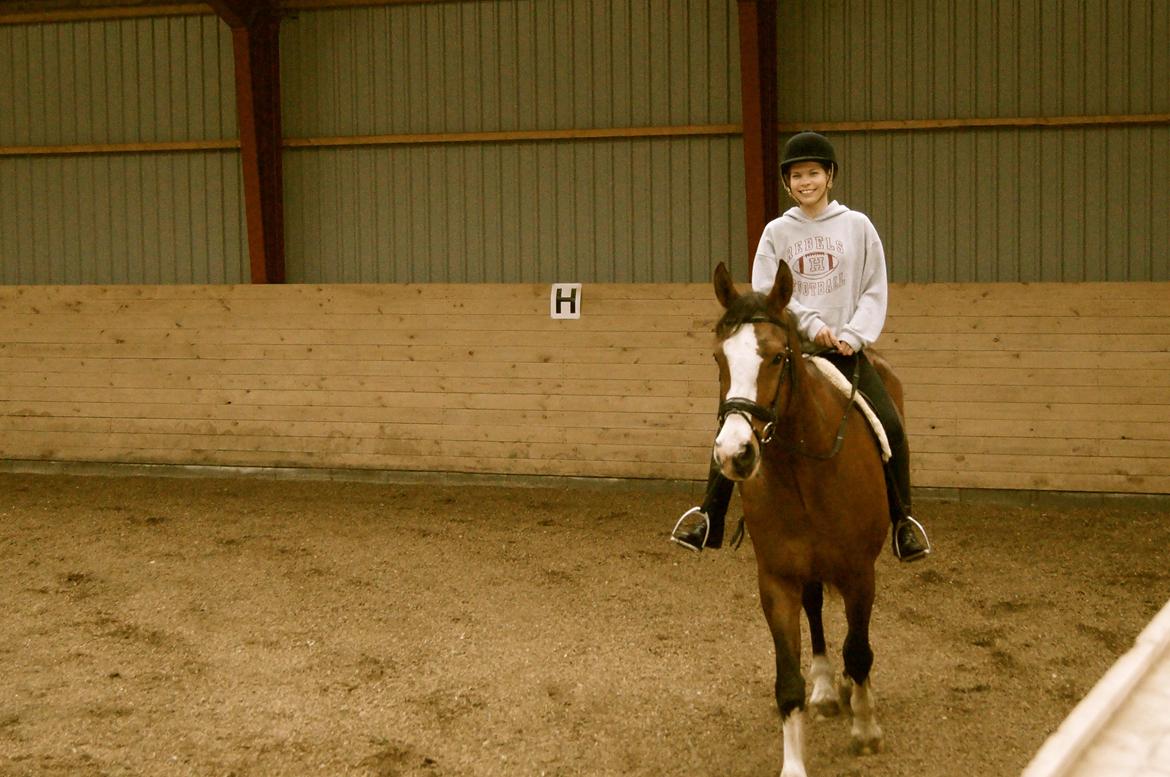 Dansk Varmblod Graffiti R billede 2