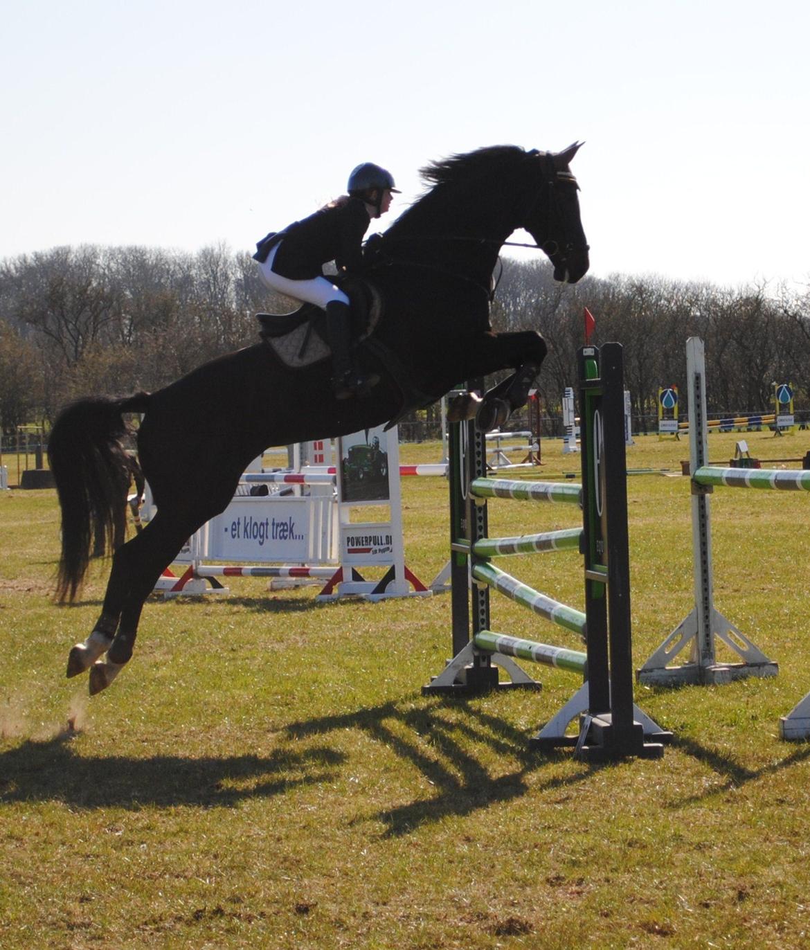 Dansk Varmblod Lerini A **RDS** - Glæder mig til den dag, hvor jeg kan sidde lidt pænere på dig. Du springer bare så vildt højt over hver gang stjernehest<3
 billede 18