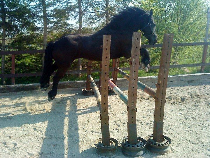 Frieser Rasmus vallø billede 3