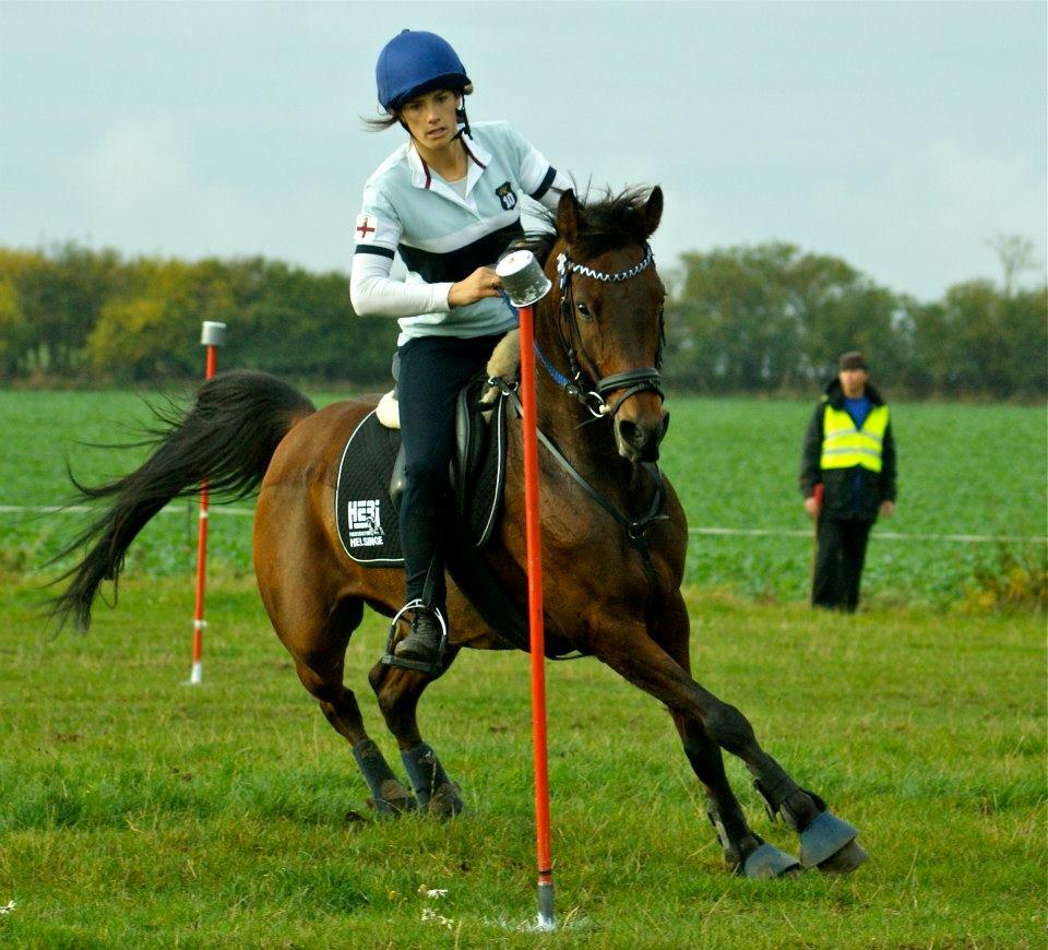 Hollandsk Sportspony Dakar - obe-cup 2012  billede 20
