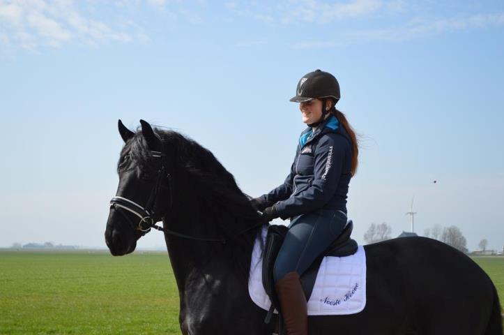 Frieser Douwe fan it Heim billede 1