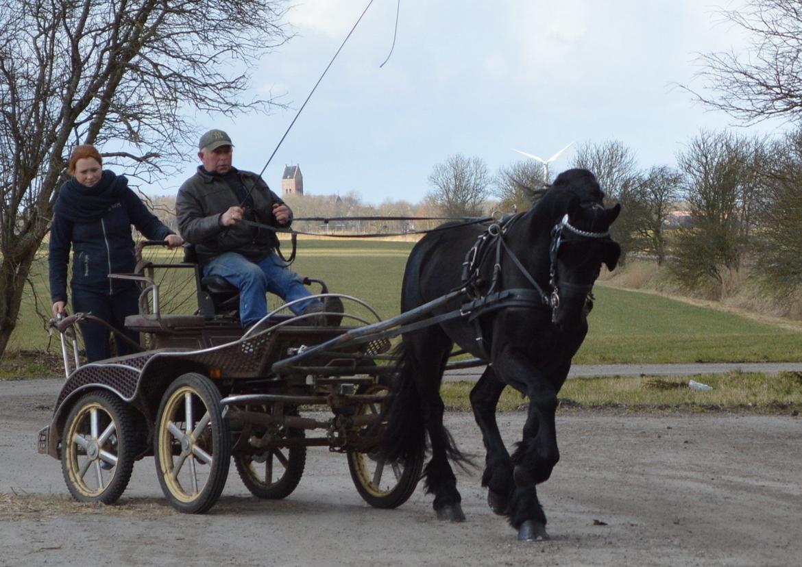 Frieser Douwe fan it Heim billede 4