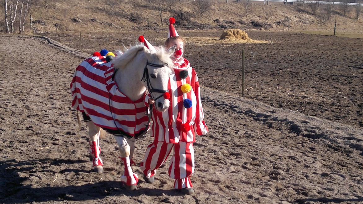 Anden særlig race Savages Isak Venture R.I.P elsket og altid savnet - mig og isak til fastalavn
vi vandt begge to :) billede 2