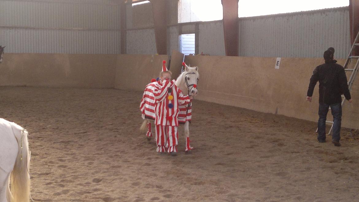 Anden særlig race Savages Isak Venture R.I.P elsket og altid savnet billede 3