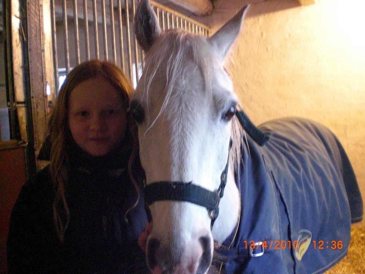 Anden særlig race Savages Isak Venture R.I.P elsket og altid savnet - dagen inden han skulle afsted  billede 13