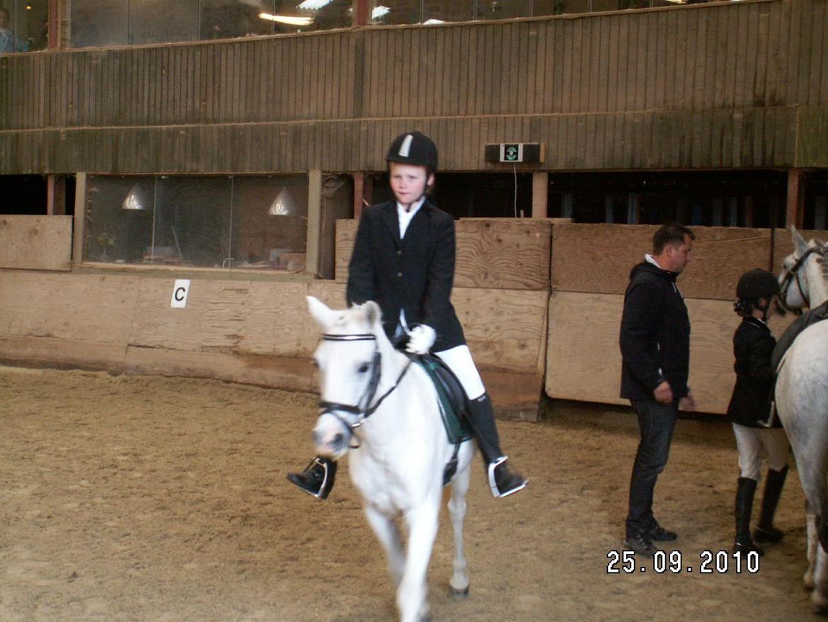 Anden særlig race Savages Isak Venture R.I.P elsket og altid savnet billede 4