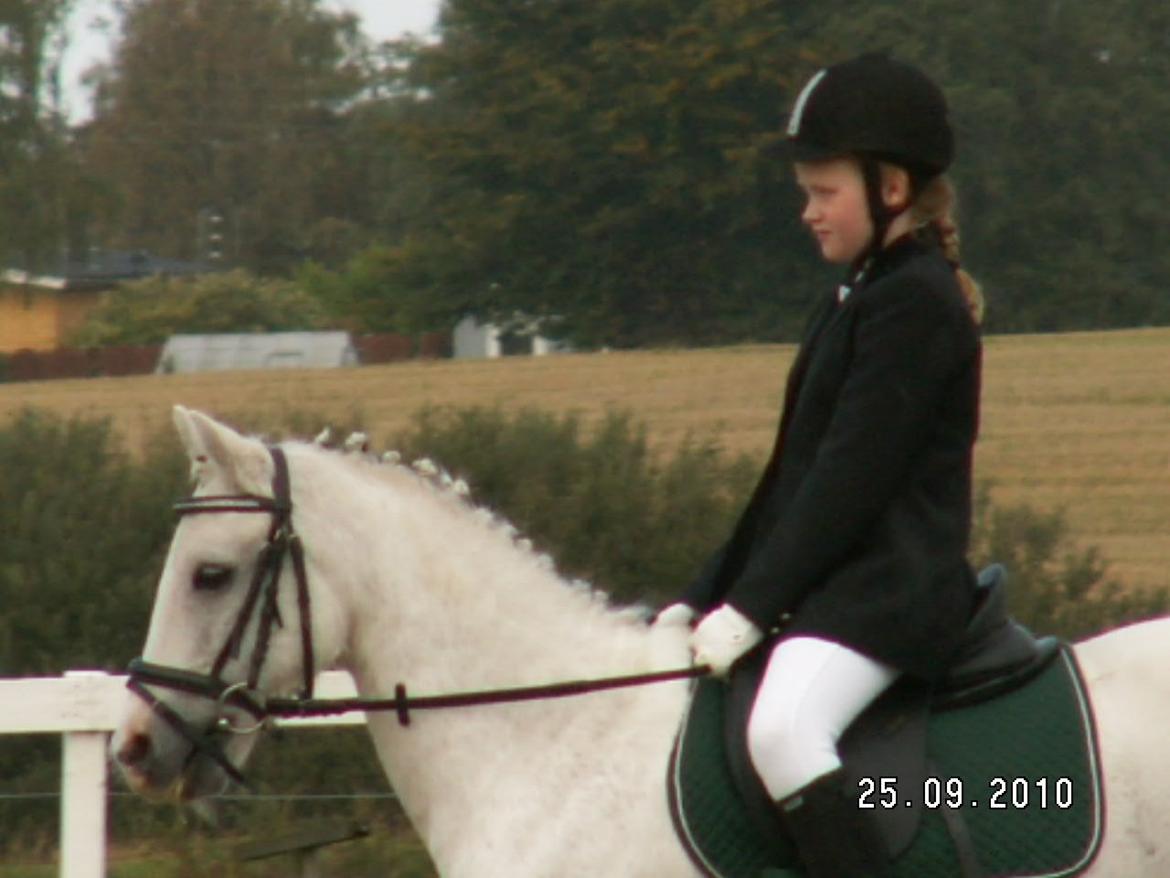 Anden særlig race Savages Isak Venture R.I.P elsket og altid savnet billede 7