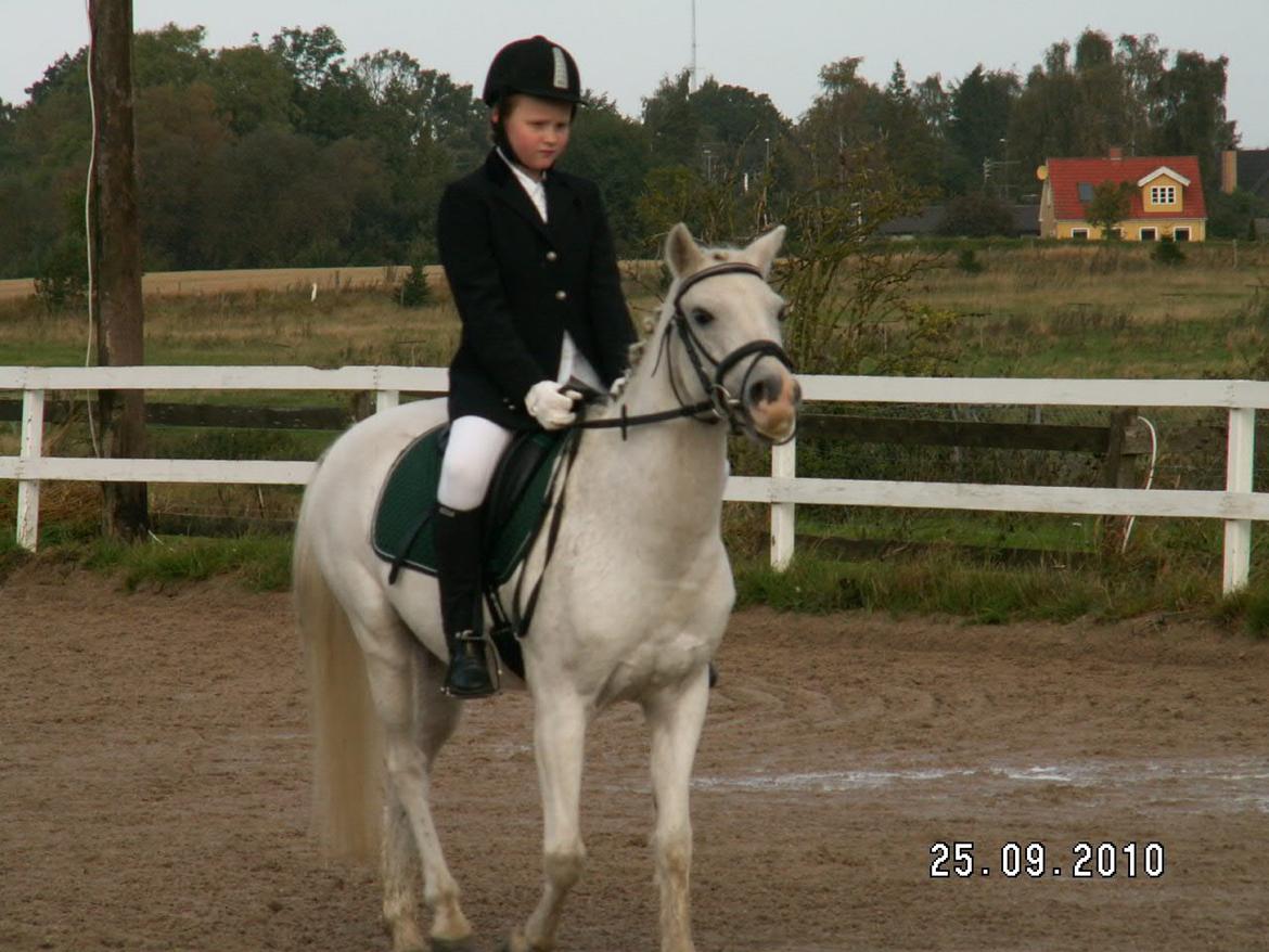 Anden særlig race Savages Isak Venture R.I.P elsket og altid savnet - men da vi var på så tja :) nobody is perfect:) billede 6