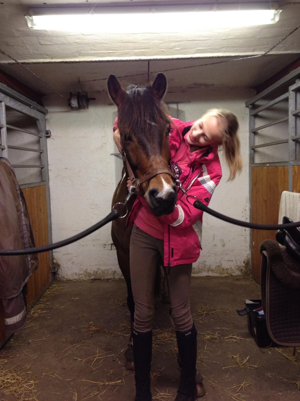 Pinto Joey Moe billede 4