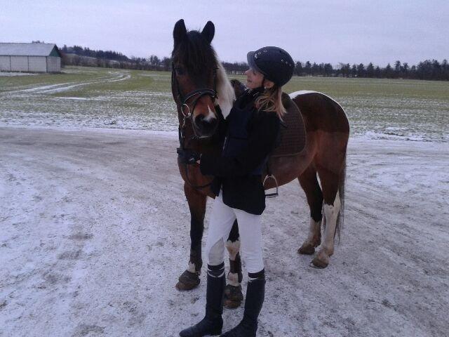 Pinto Joey Moe billede 11