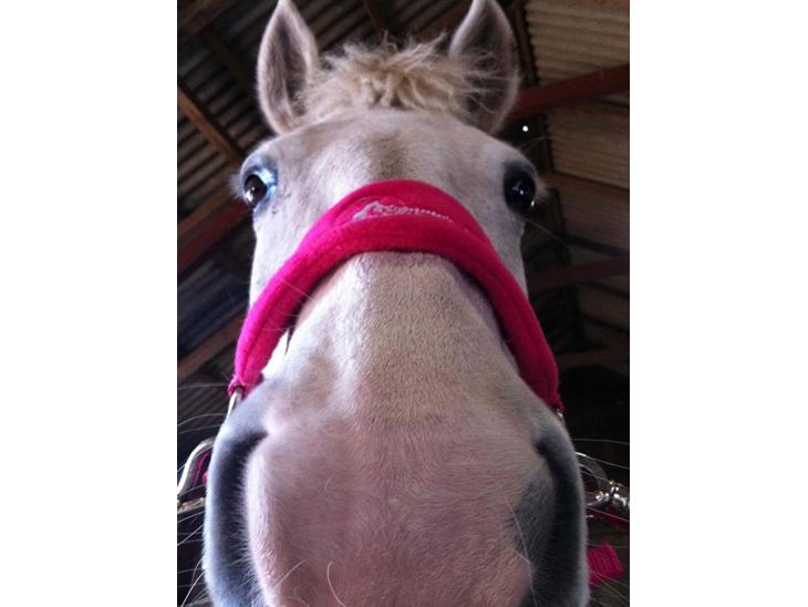 {{currentPhoto.altText}} billede {{currentPhoto.number}}