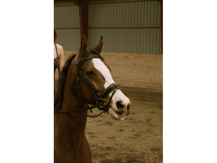 {{currentPhoto.altText}} billede {{currentPhoto.number}}