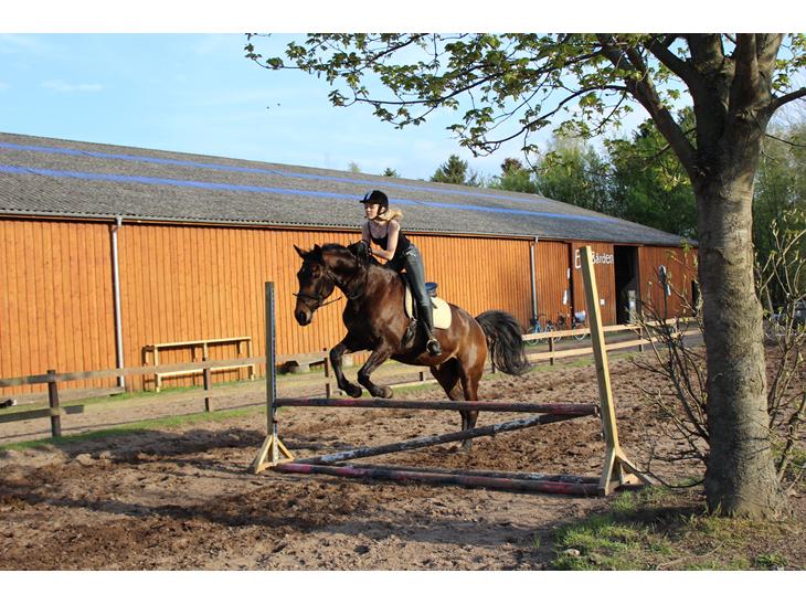 {{currentPhoto.altText}} billede {{currentPhoto.number}}