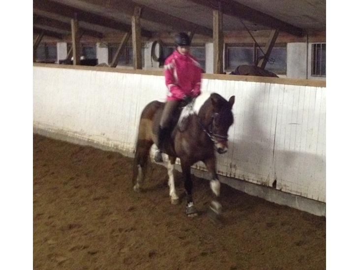 {{currentPhoto.altText}} billede {{currentPhoto.number}}