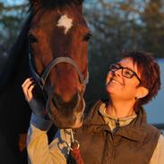 Hannoveraner Winnipeg