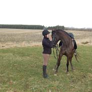 Anden særlig race Stald Flyings Migthy M Magpie