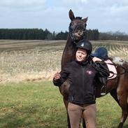 Anden særlig race Stald Flyings Migthy M Magpie