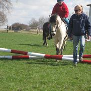 Anden særlig race Tougher