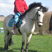 Anden særlig race Tougher