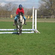 Anden særlig race Tougher