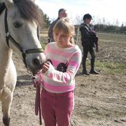 Anden særlig race Tougher