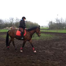 Fuldblod (XX) Mille Nyholm