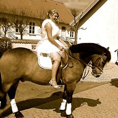 Anden særlig race Mescalero *mit et og alt*savnet  'R.I.P'