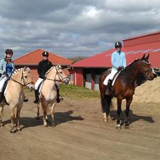 Holstener Mailunds Calua