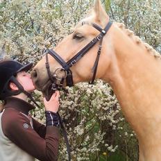 Palomino Happy Hour [DJ! <3]