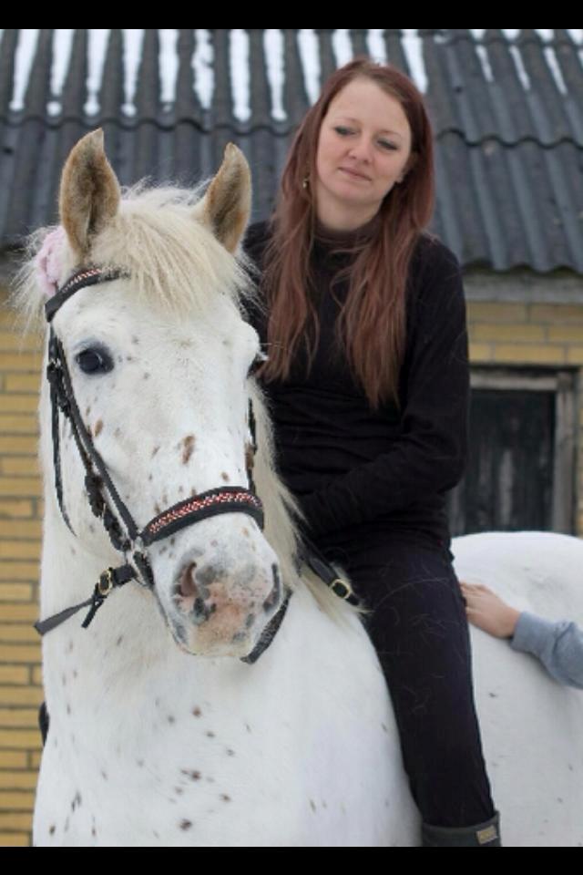 Anden særlig race Musse billede 4
