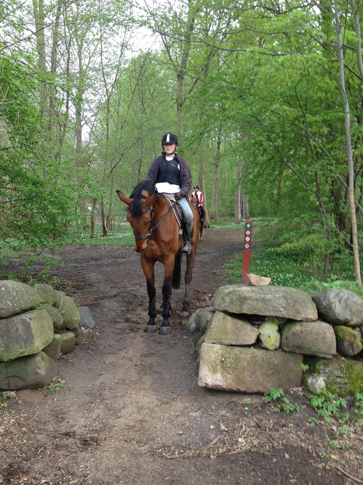 Anden særlig race Ricki billede 5