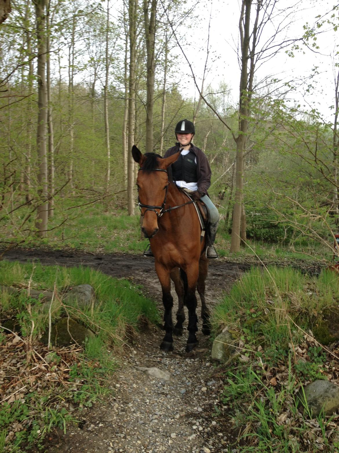 Anden særlig race Ricki billede 6